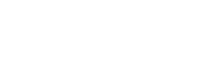 Business Culture Consultants