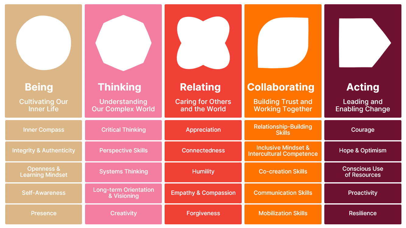 IDG Five Areas - Being, Thinking, Relating, Collaborating, Acting
