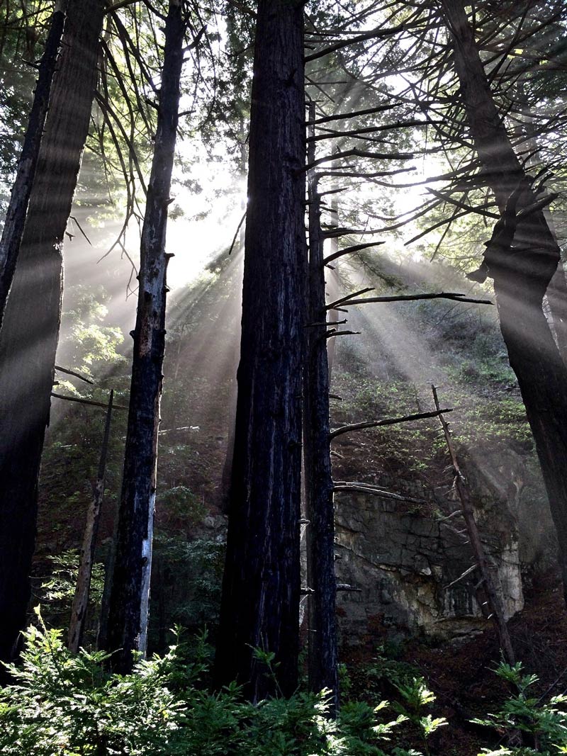 Big-Sur-Rays